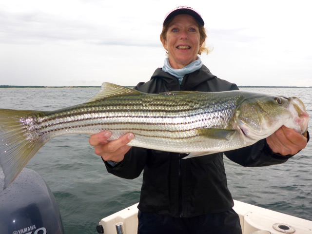 Fly Fishing Lessons, New England